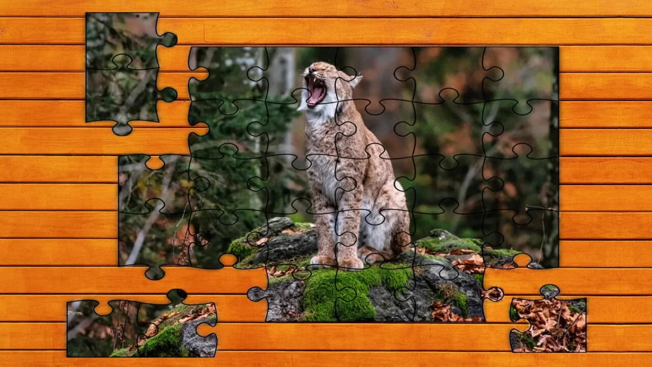 Wild Lynx Jigsaw görsel 5