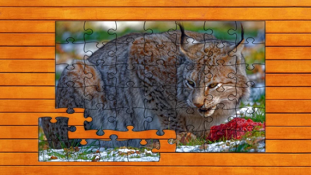 Wild Lynx Jigsaw görsel 6
