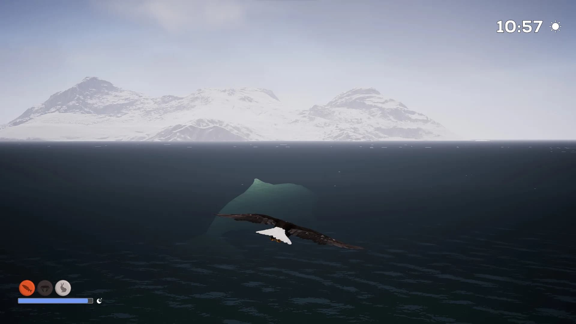 Isle of the Eagle görsel 4