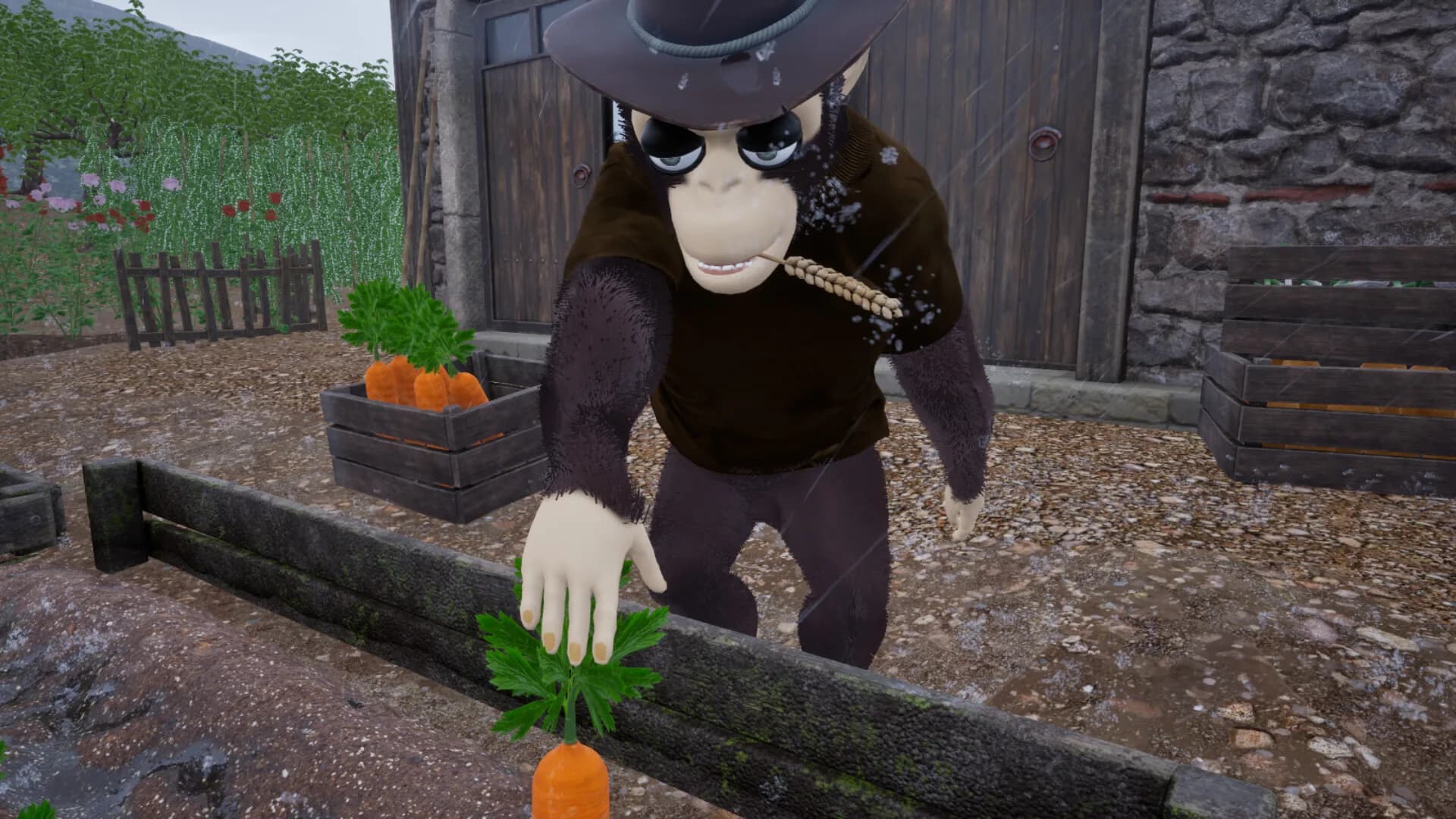 Ragdoll Chimps görsel 5