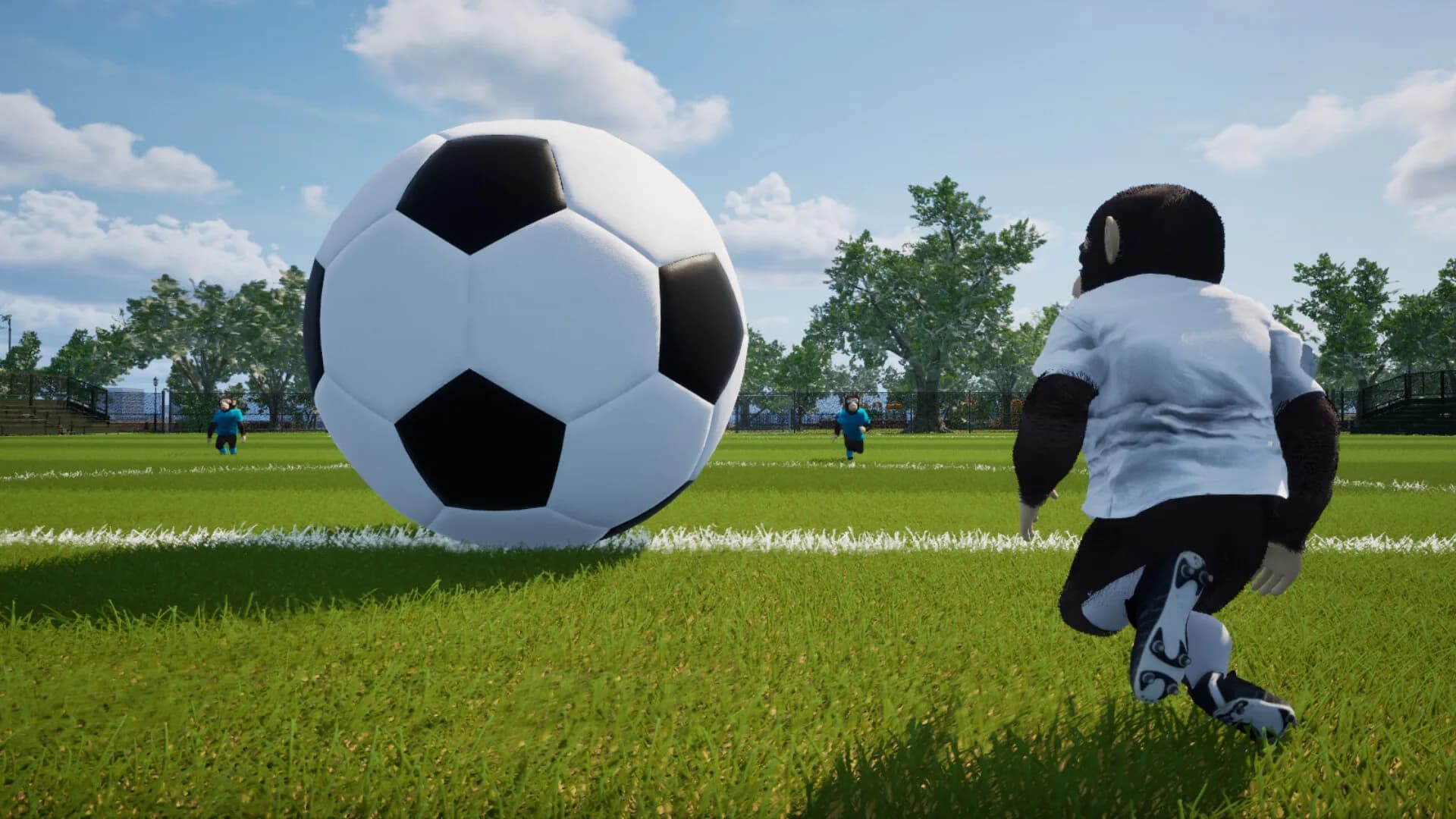 Ragdoll Chimps görsel 10