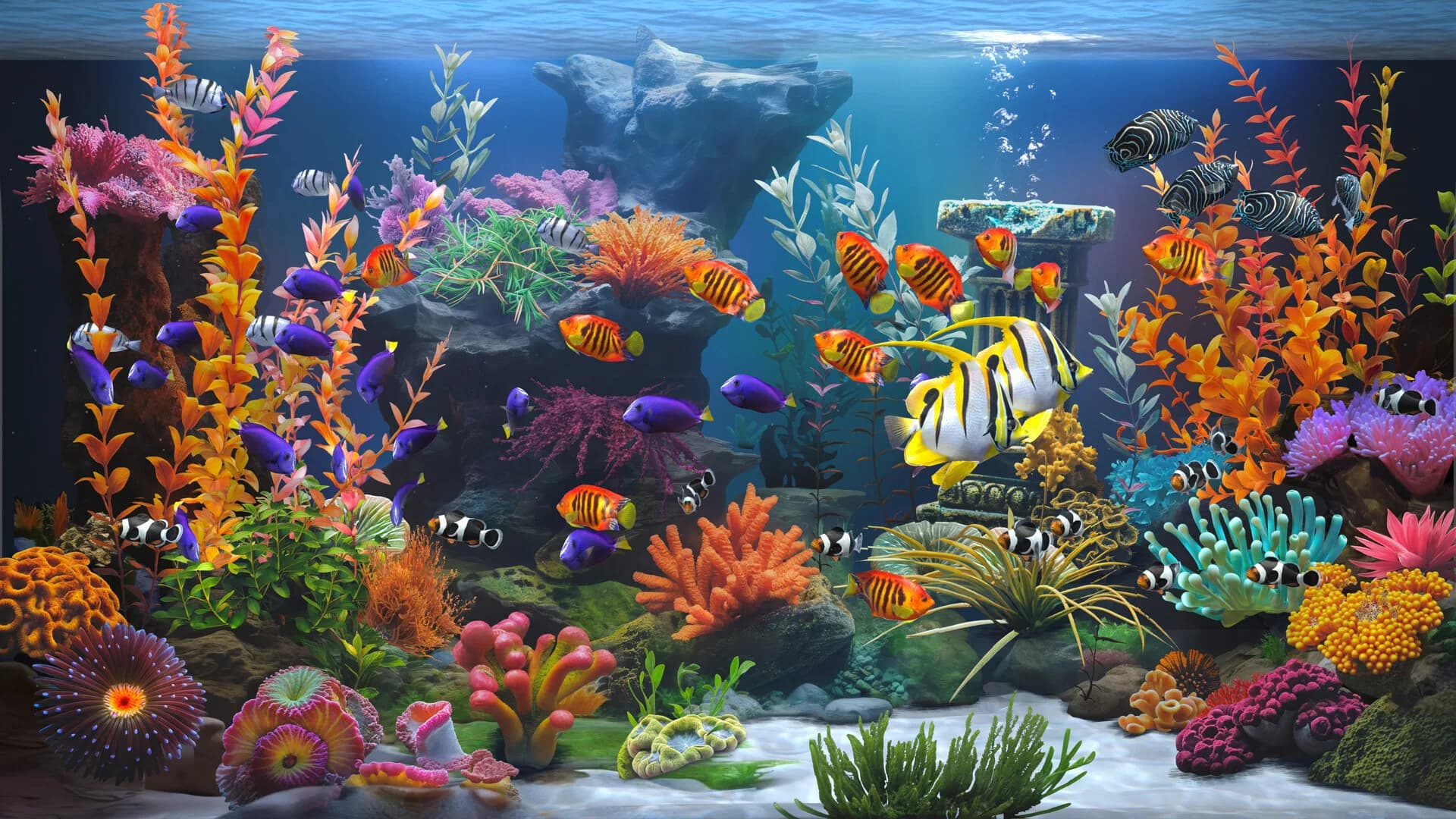 Zen Aquarium görsel 2