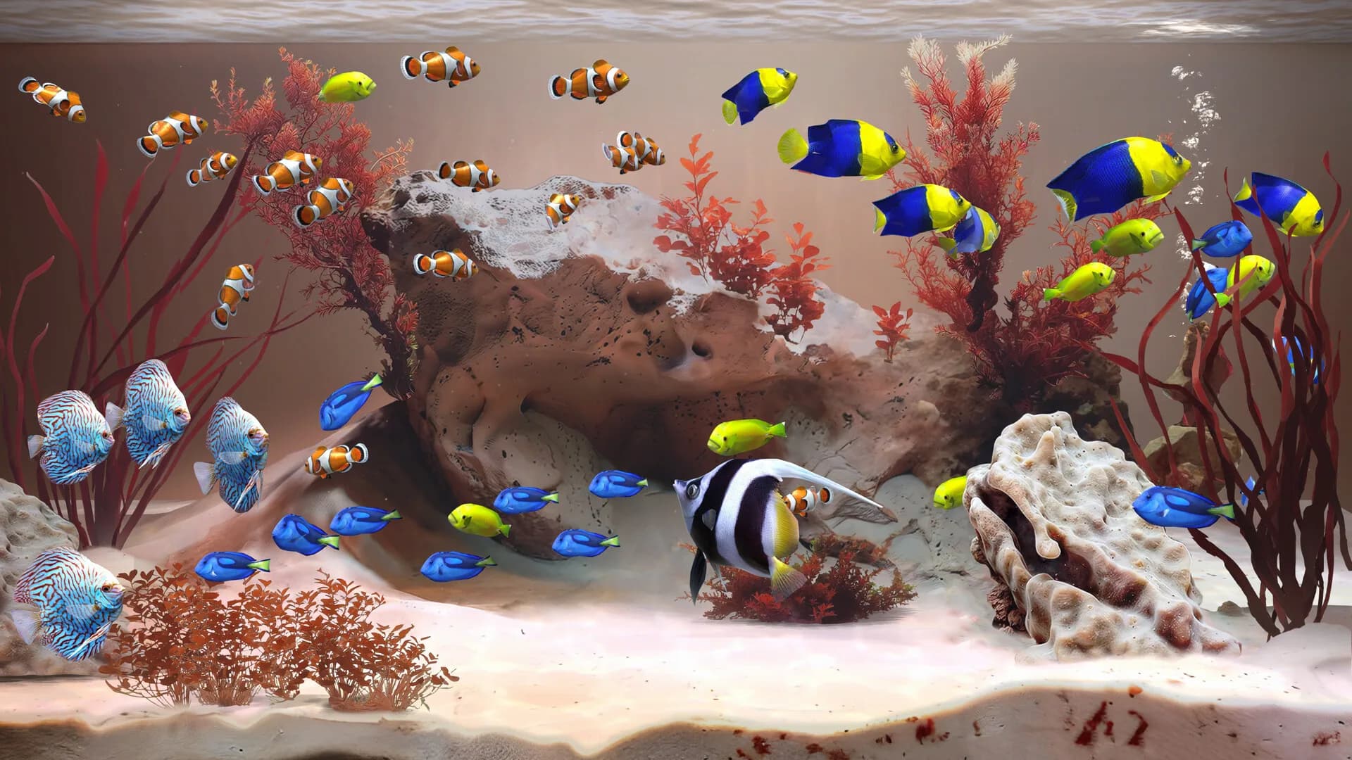 Zen Aquarium görsel 3