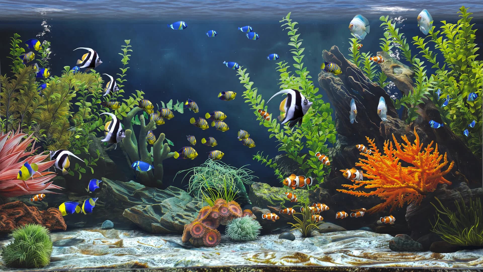 Zen Aquarium görsel 4