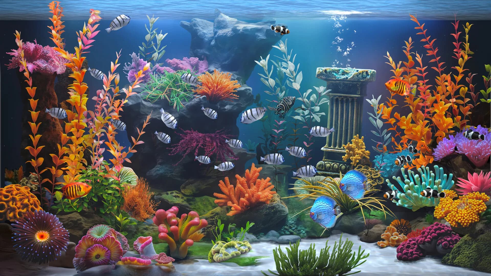 Zen Aquarium görsel 6