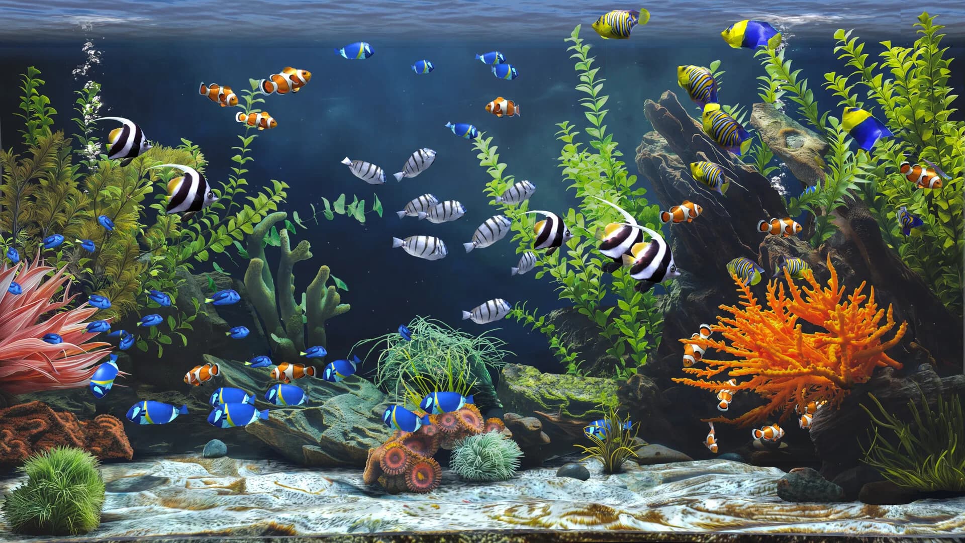 Zen Aquarium görsel 7