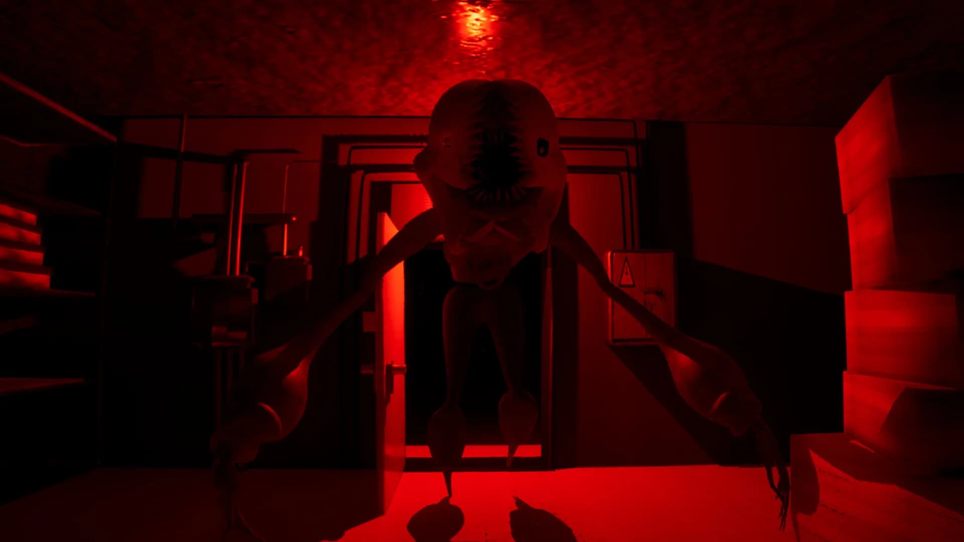Misery Nights görsel 4