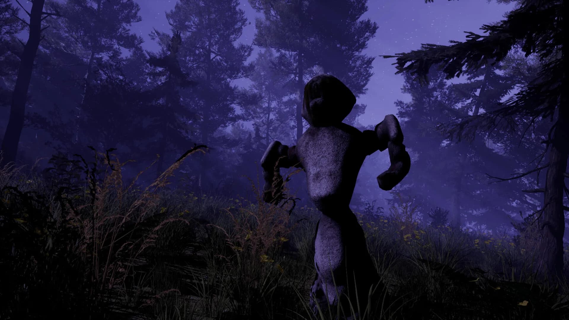 SCP: November 2010 görsel 3