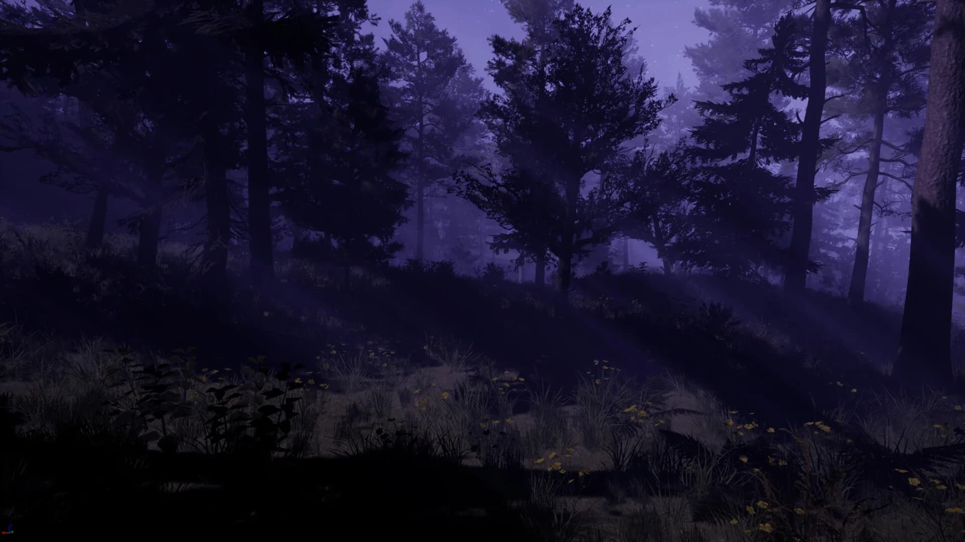 SCP: November 2010 görsel 4