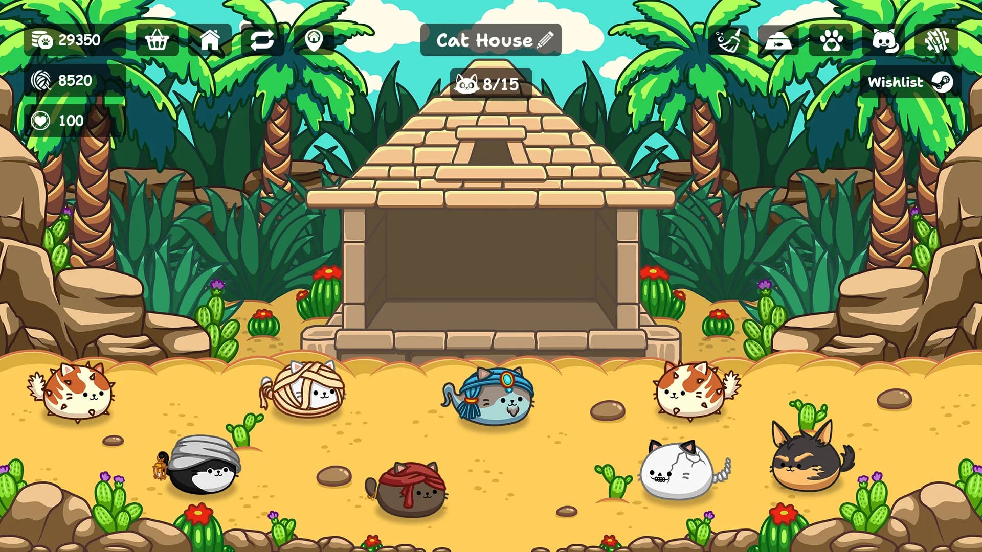 Cats Are Money görsel 8