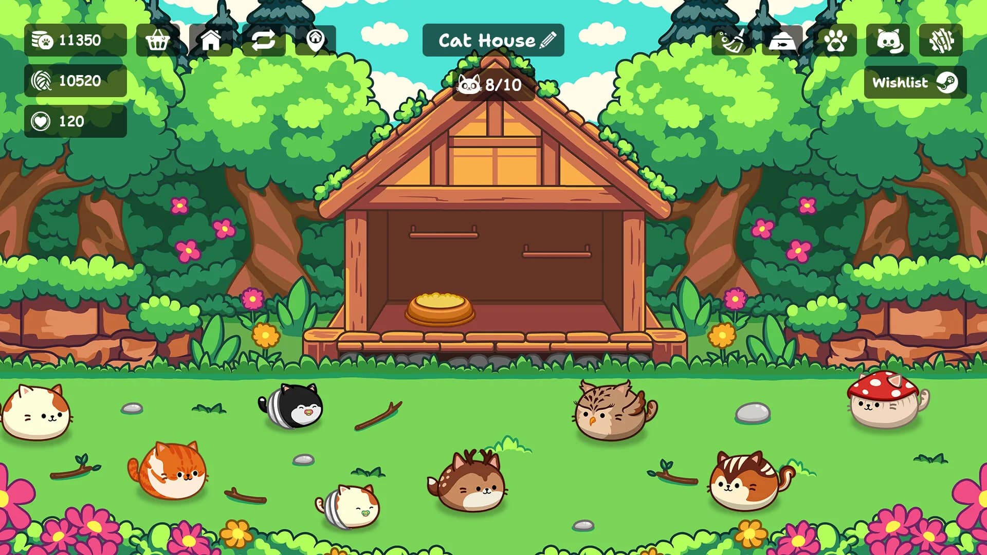 Cats Are Money görsel 9