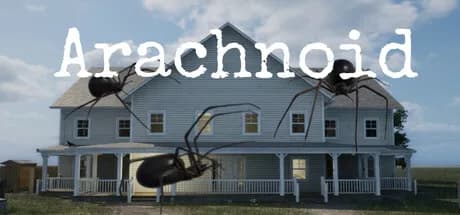 Arachnoid görsel 1
