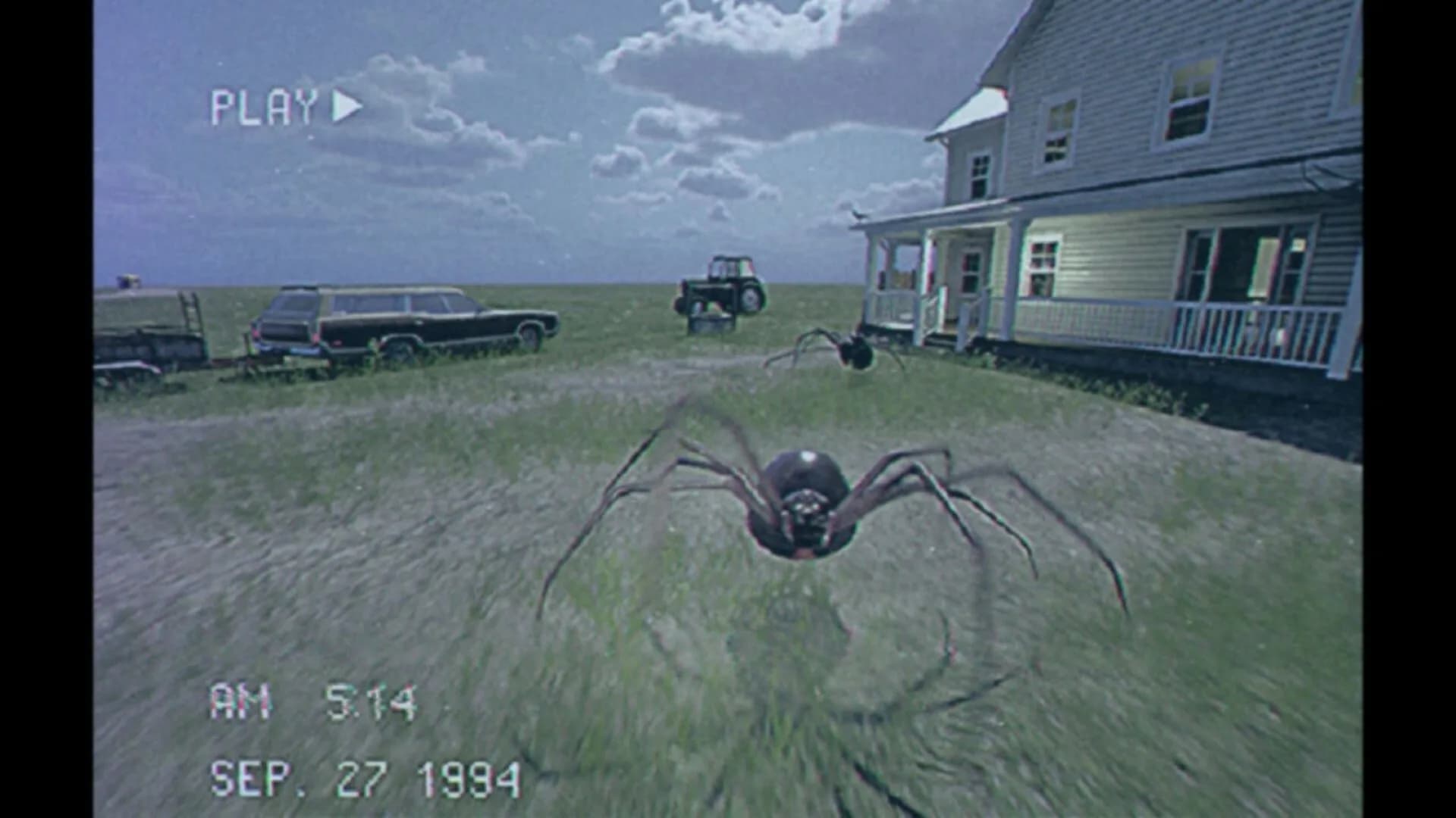 Arachnoid görsel 2