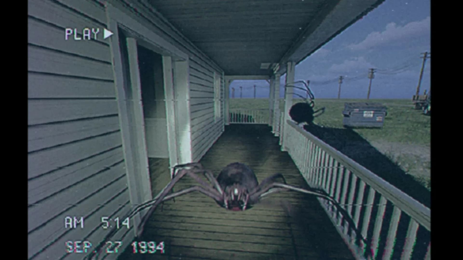Arachnoid görsel 4
