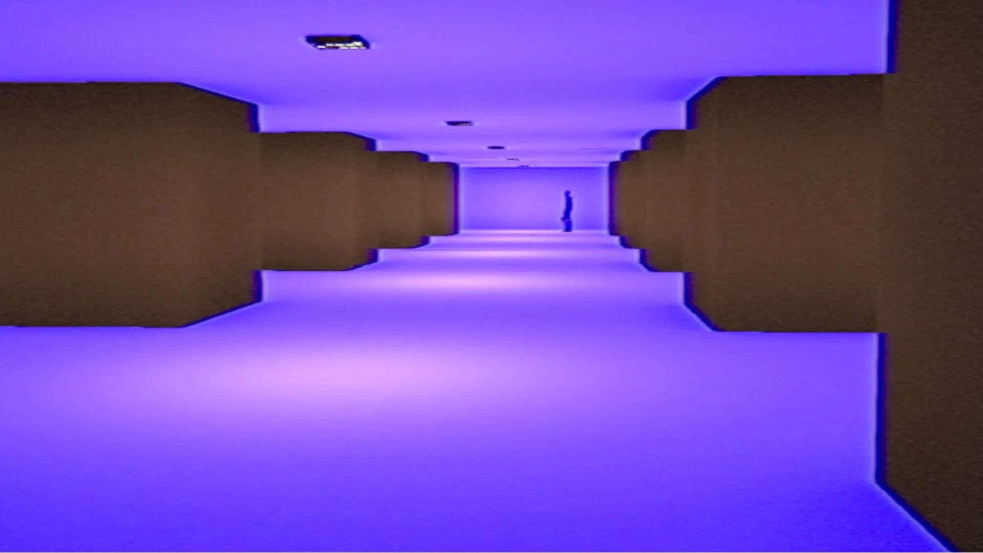 The Bicameral Protocol görsel 7