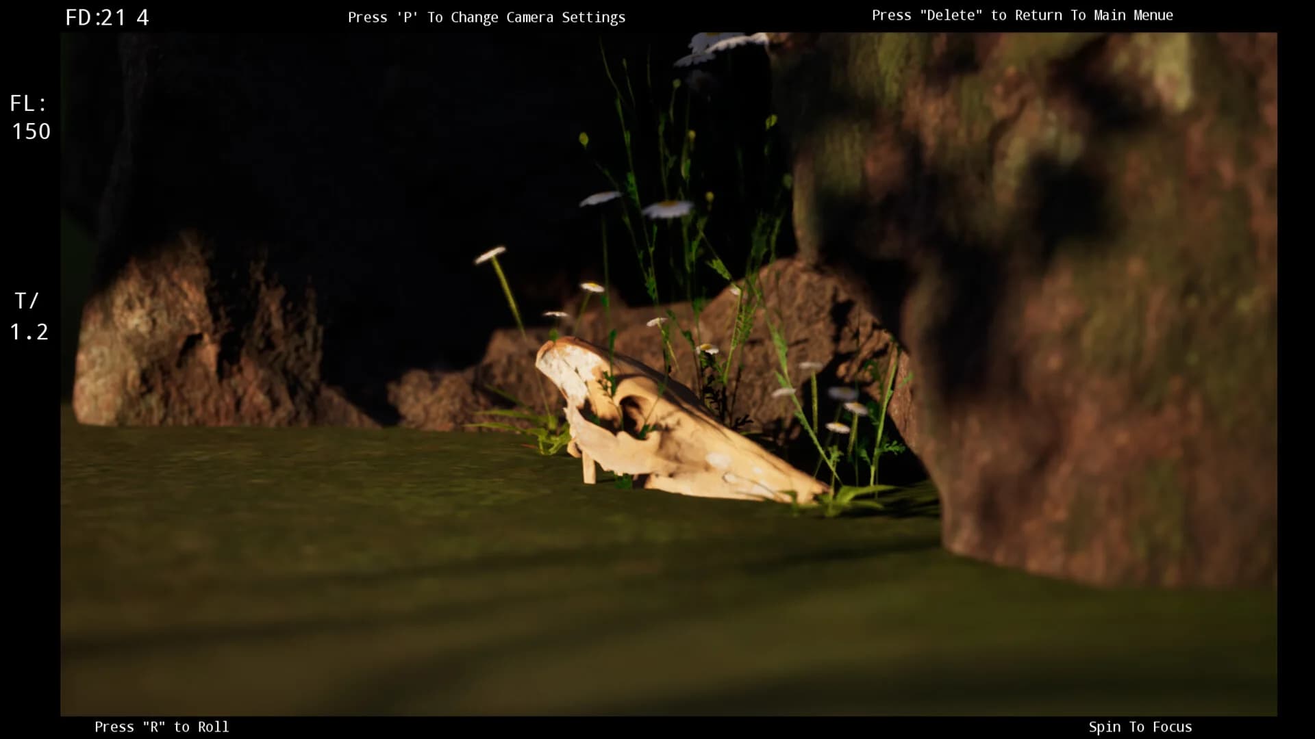 Focus Simulator görsel 5
