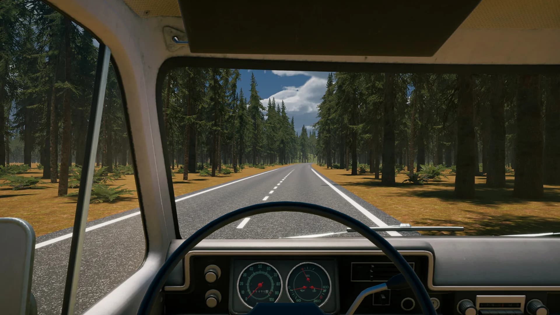 Country Drive Simulator görsel 12