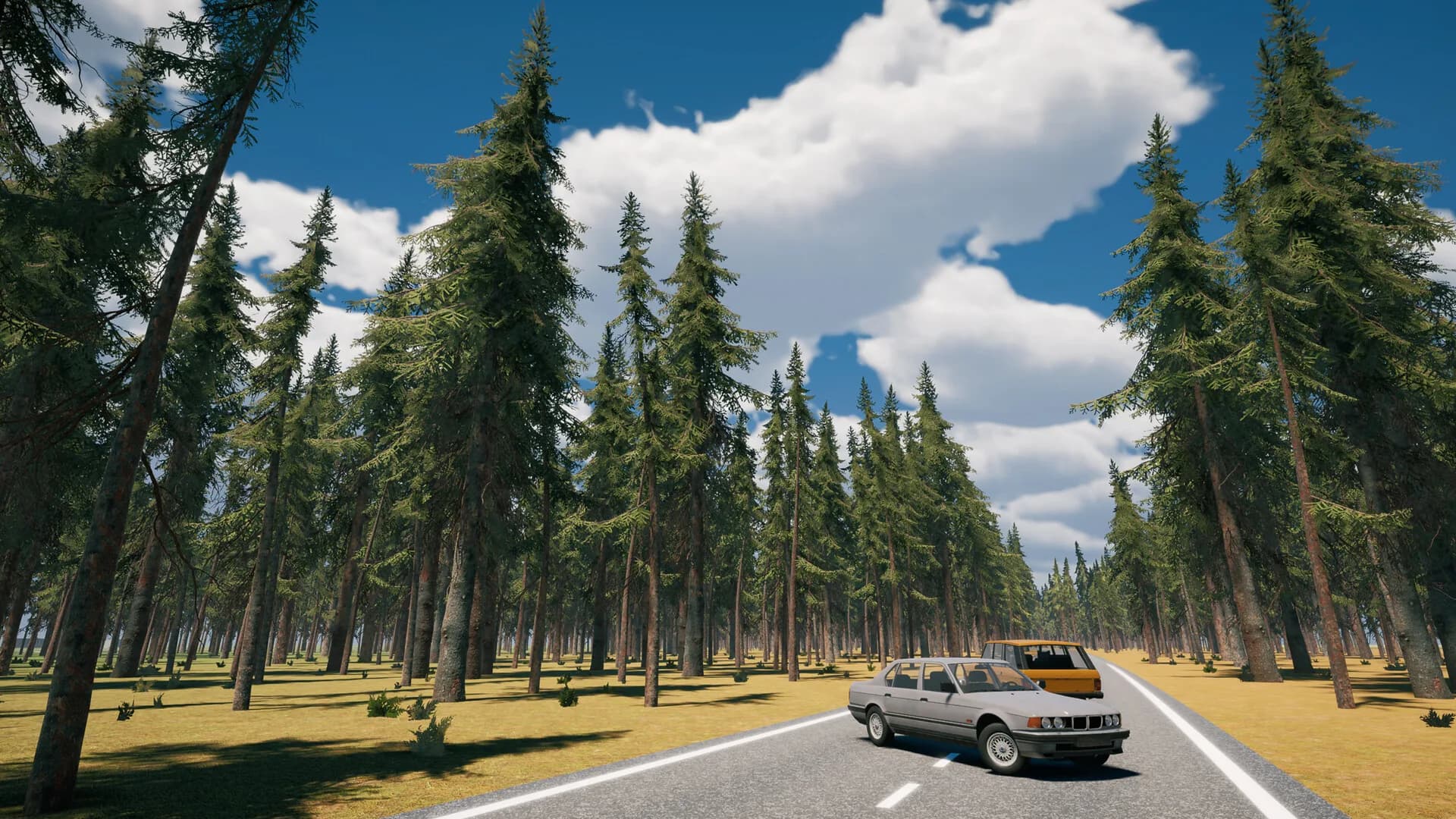 Country Drive Simulator görsel 20