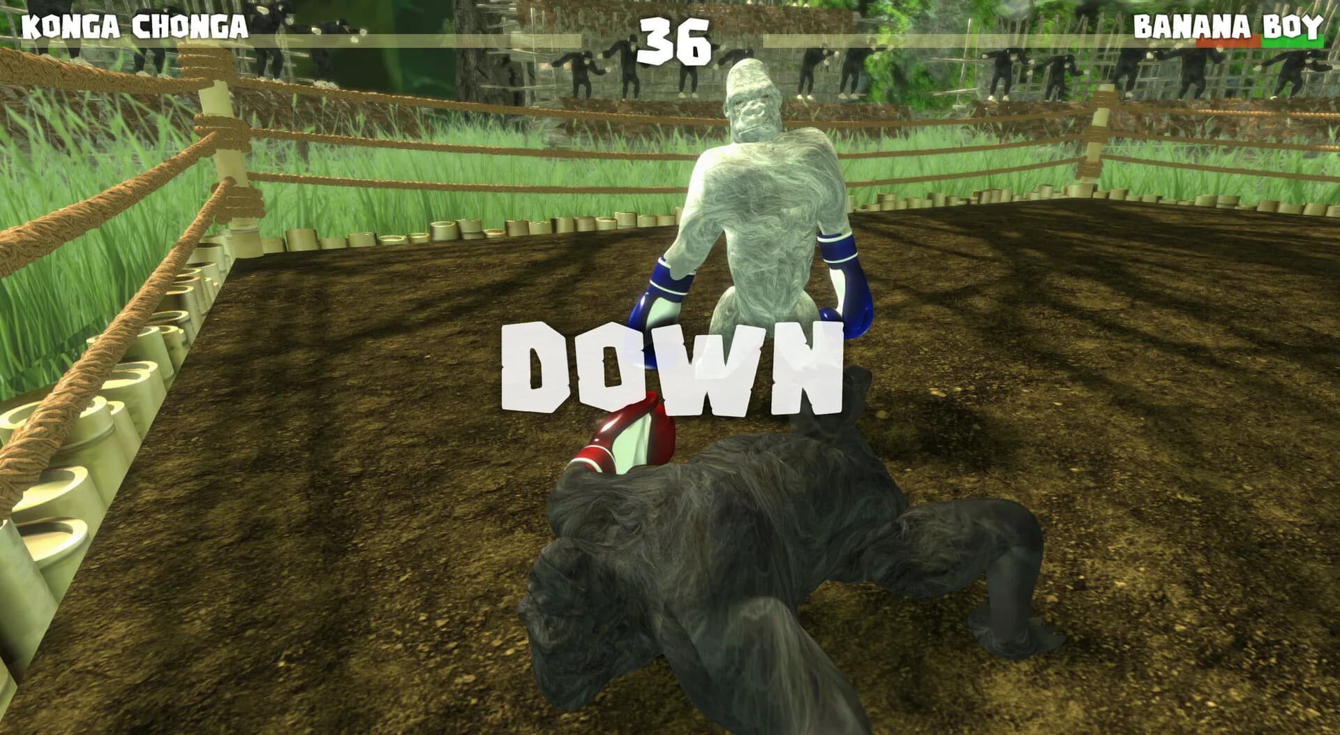 KONG FU görsel 5