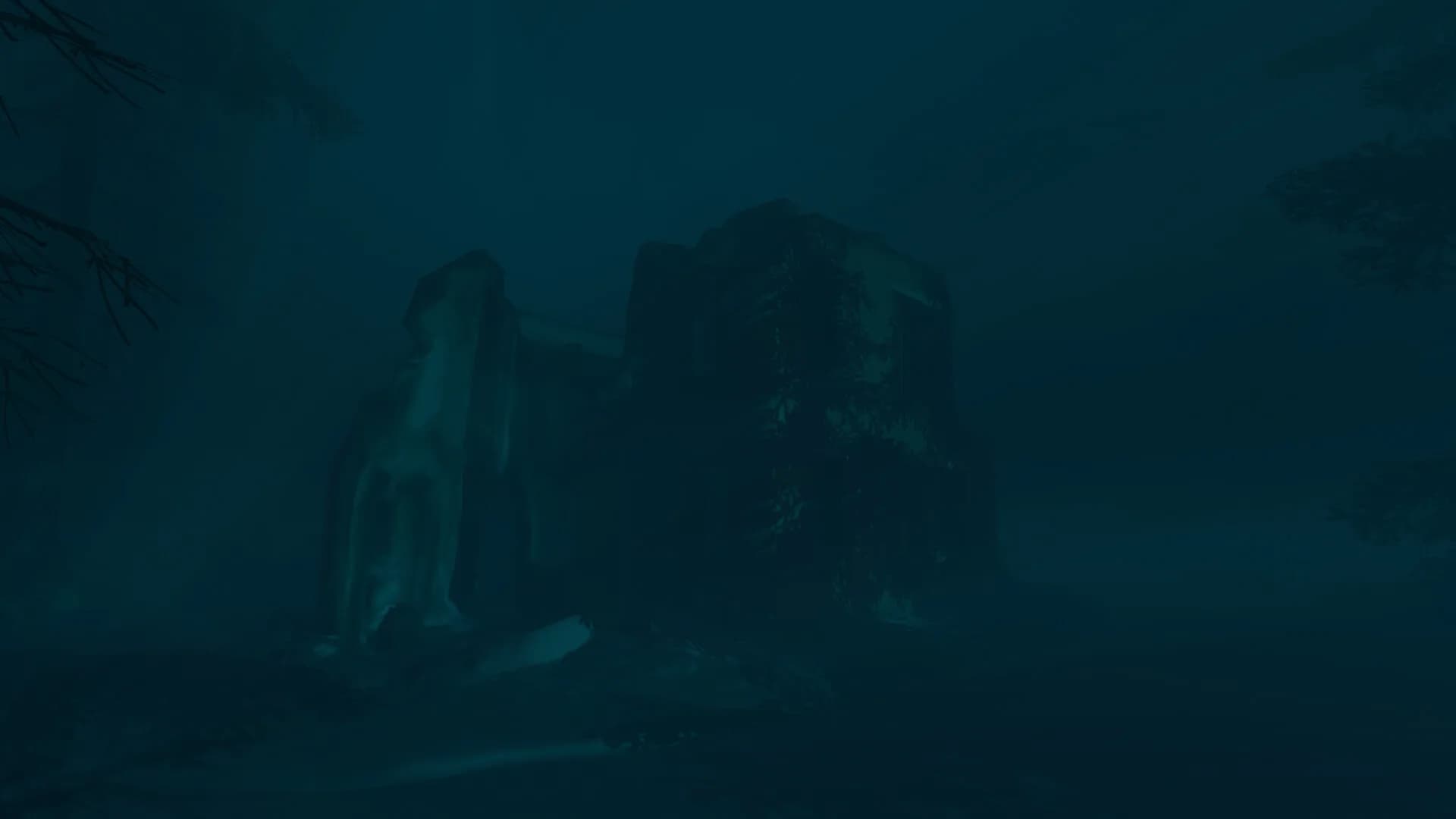 Silent Research görsel 4