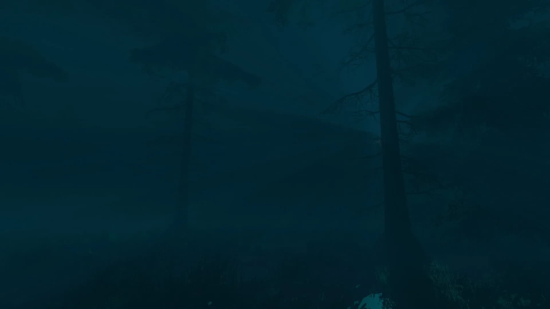 Silent Research görsel 5