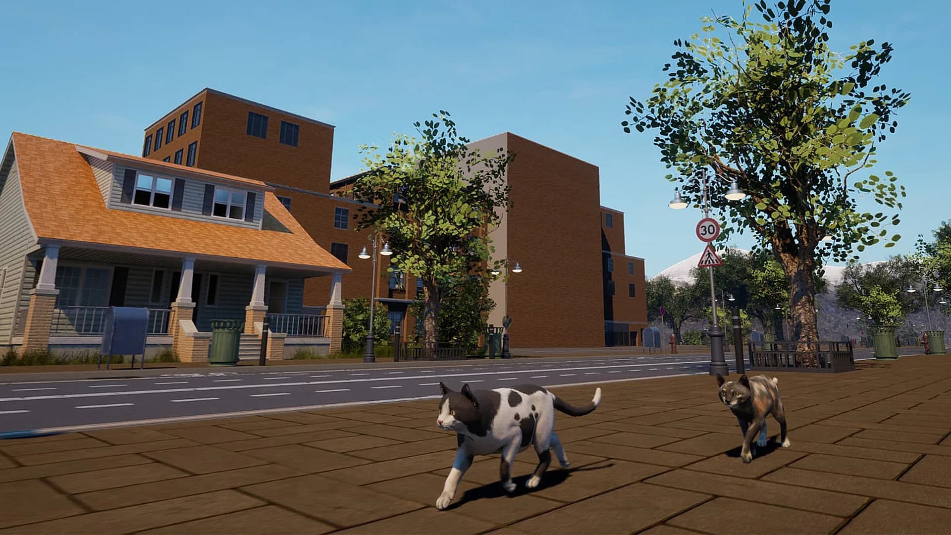 City of Cats görsel 16