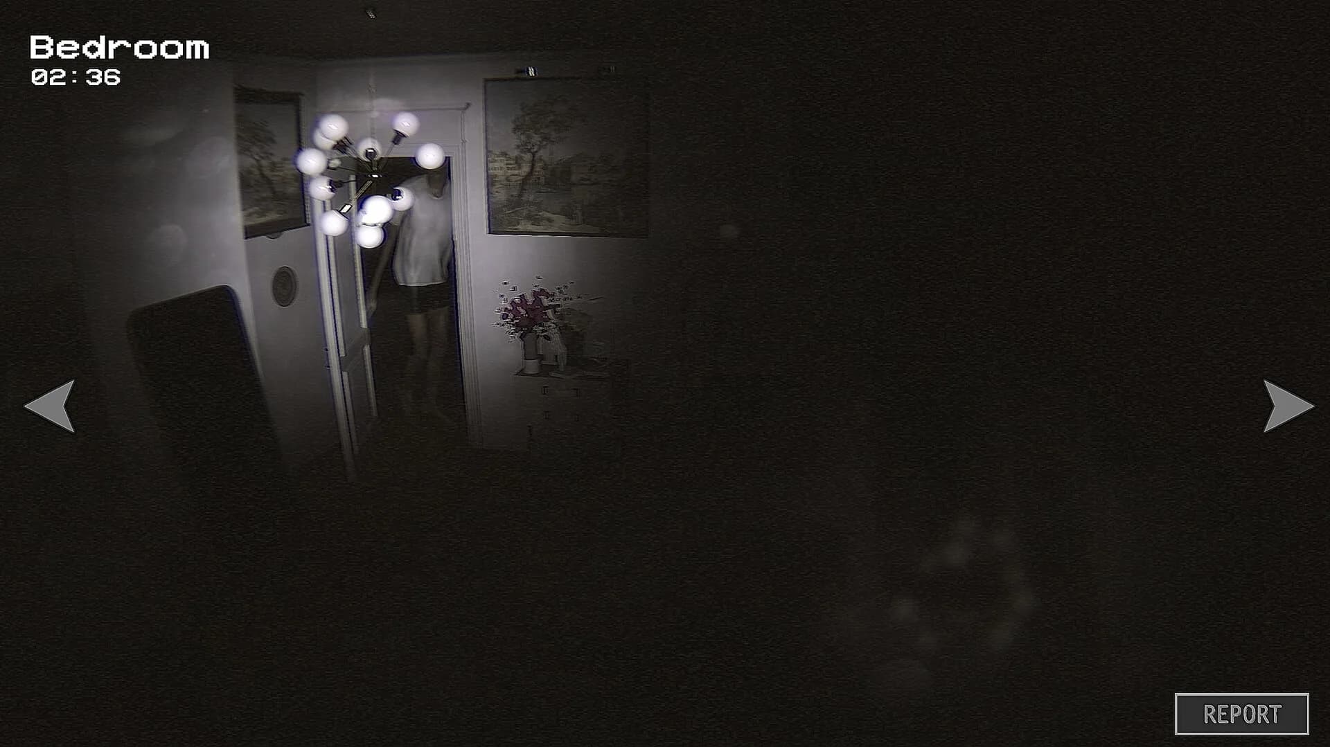 Anomaly Report görsel 3