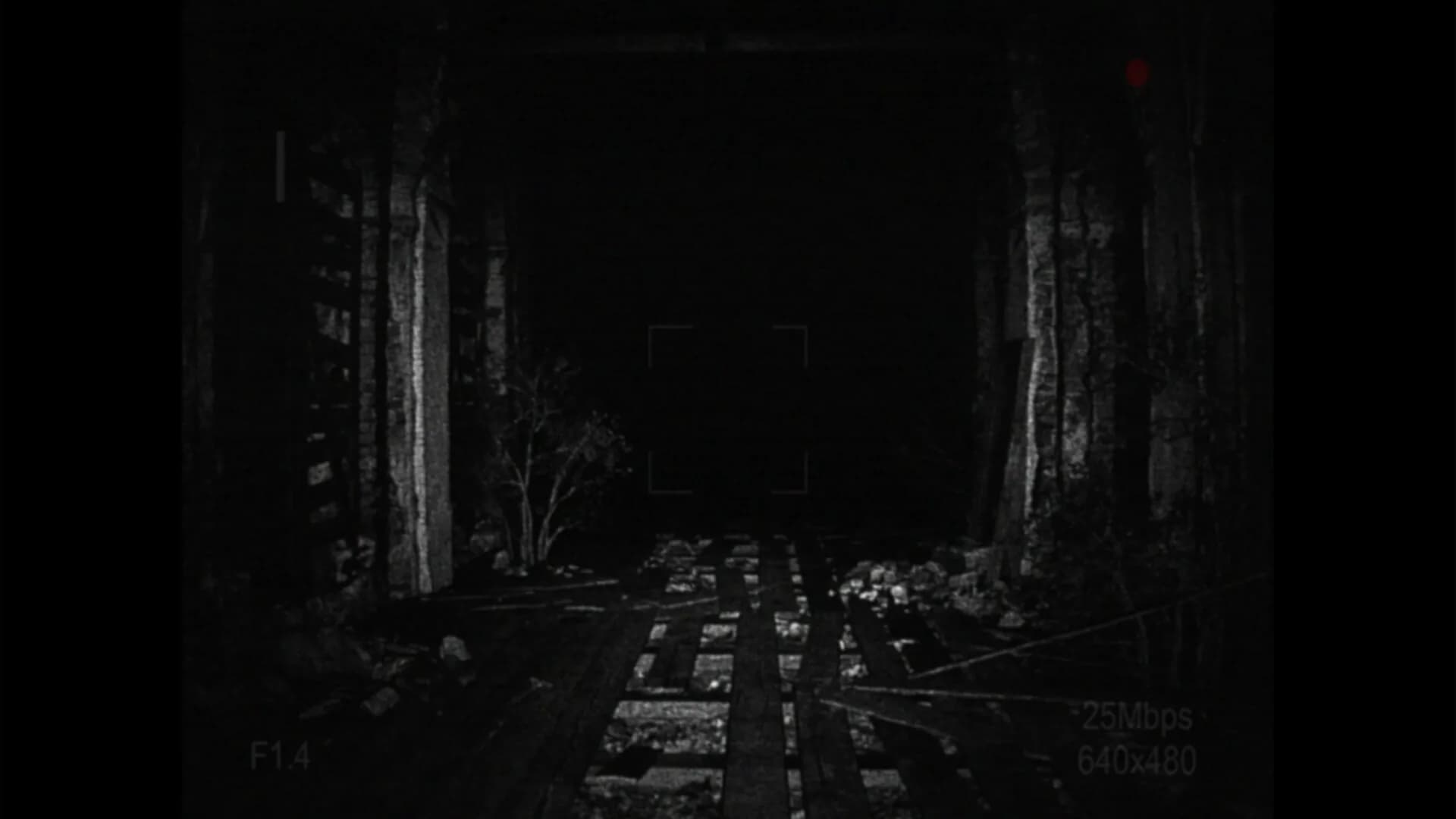 [REC] Desolation görsel 4