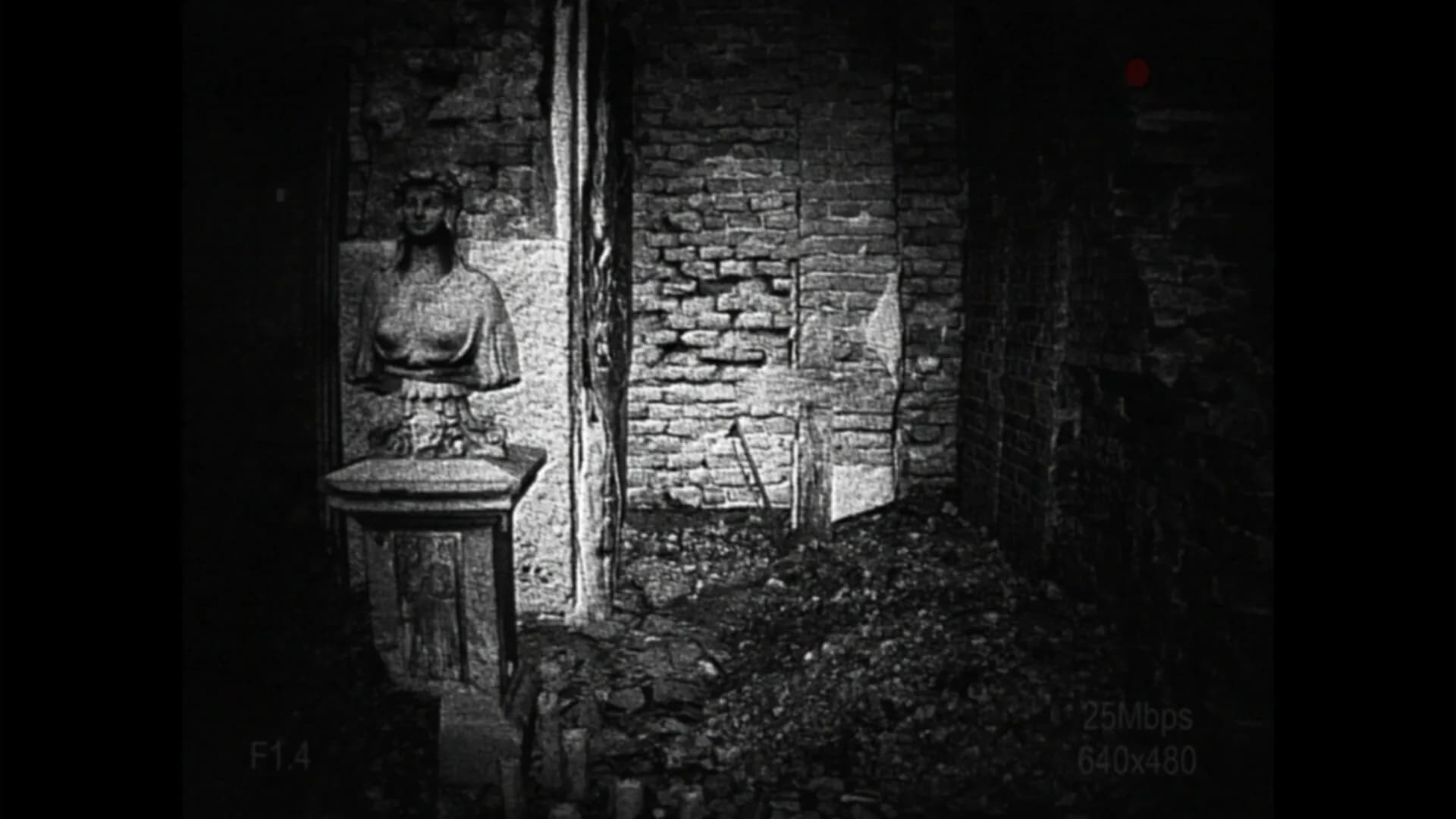 [REC] Desolation görsel 5