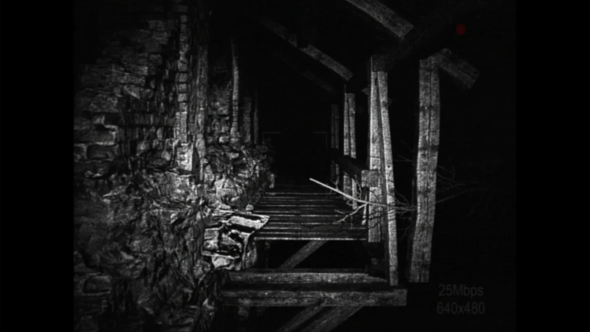[REC] Desolation görsel 6