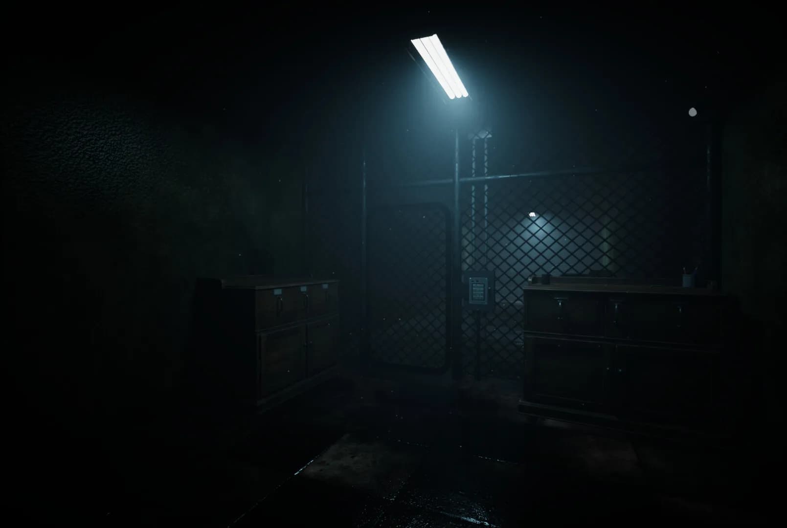Forest Asylum görsel 2