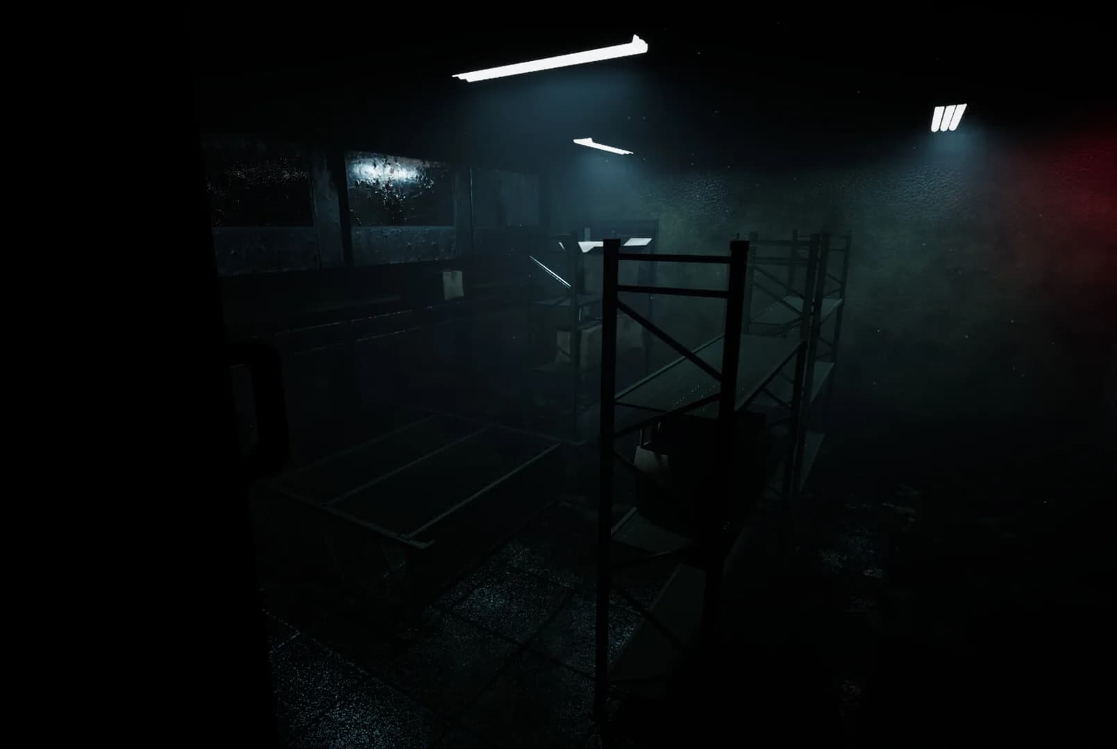 Forest Asylum görsel 3