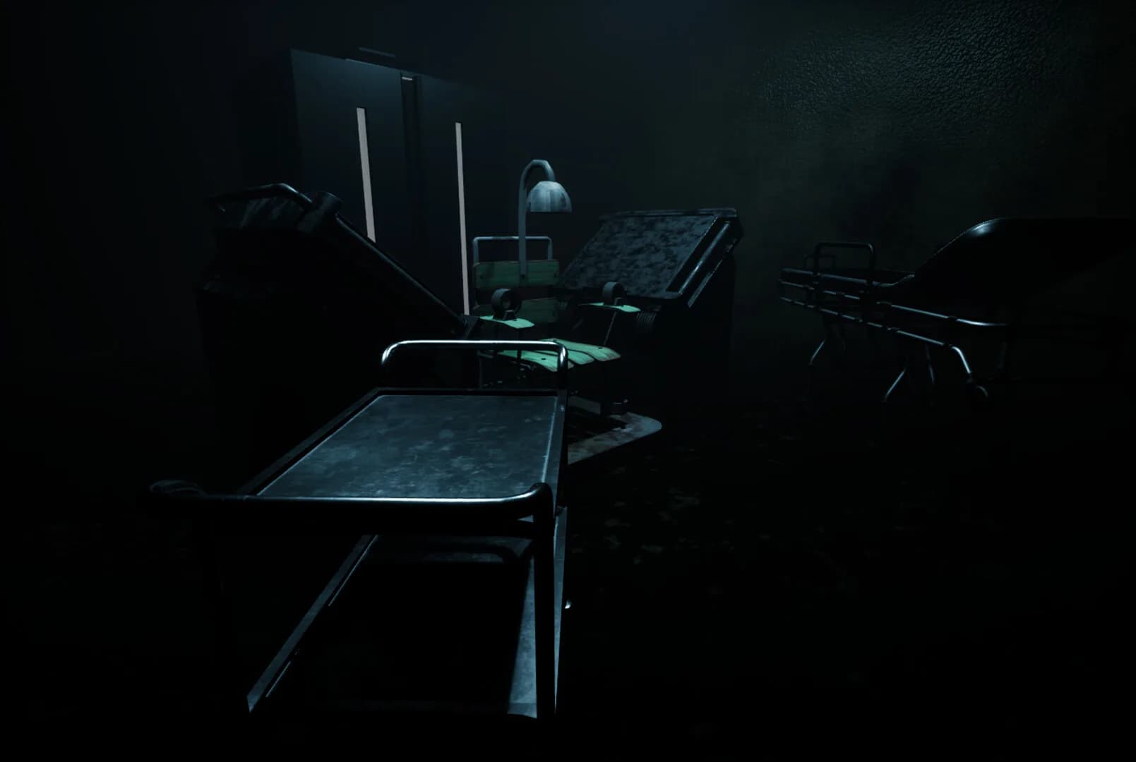 Forest Asylum görsel 4