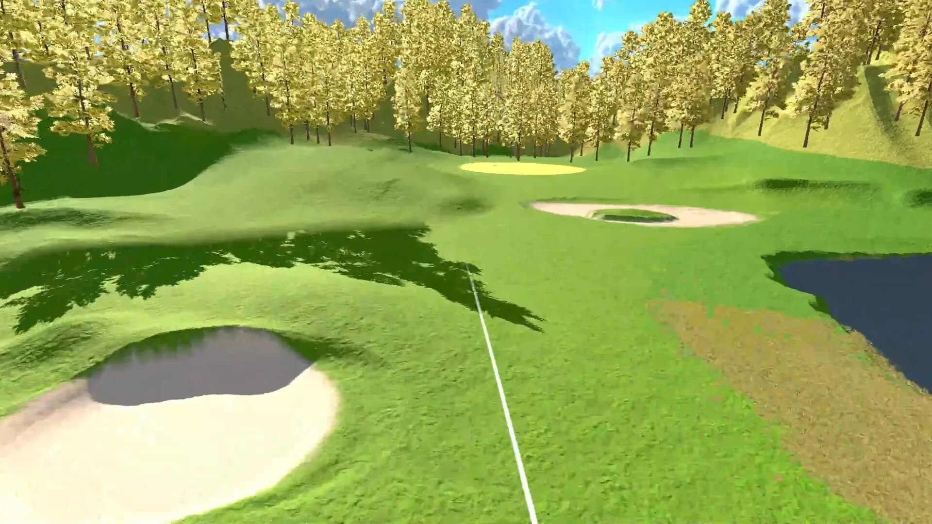 Golf Pro Simulator görsel 5