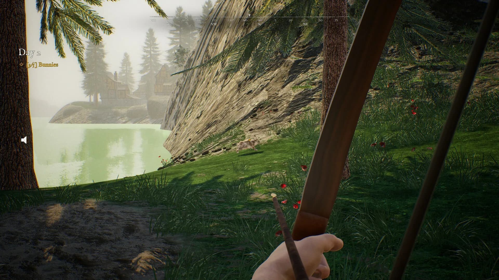 Bunny Hurling görsel 7