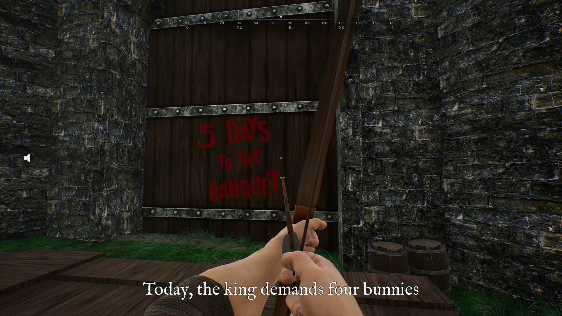 Bunny Hurling görsel 9