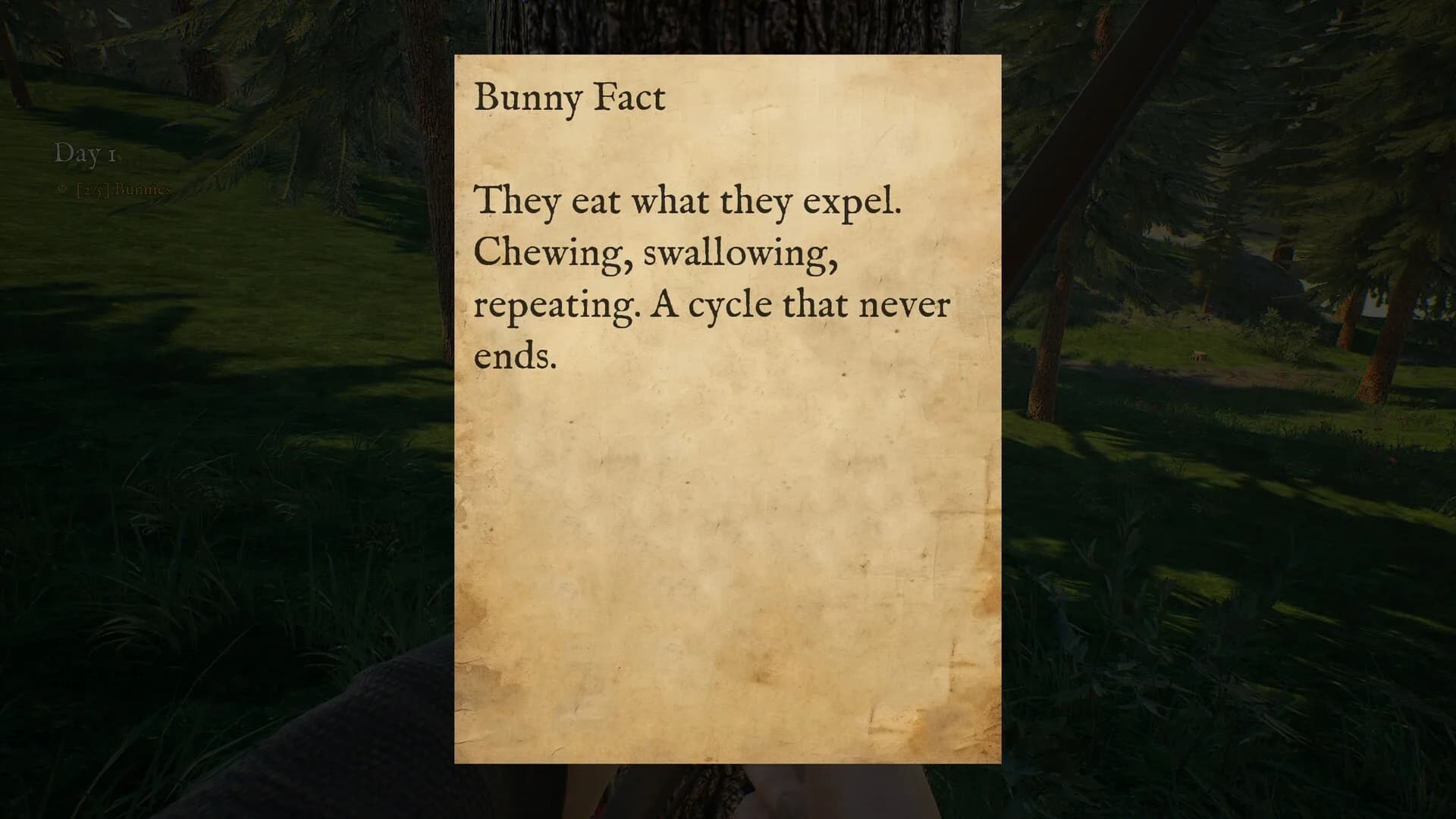 Bunny Hurling görsel 10