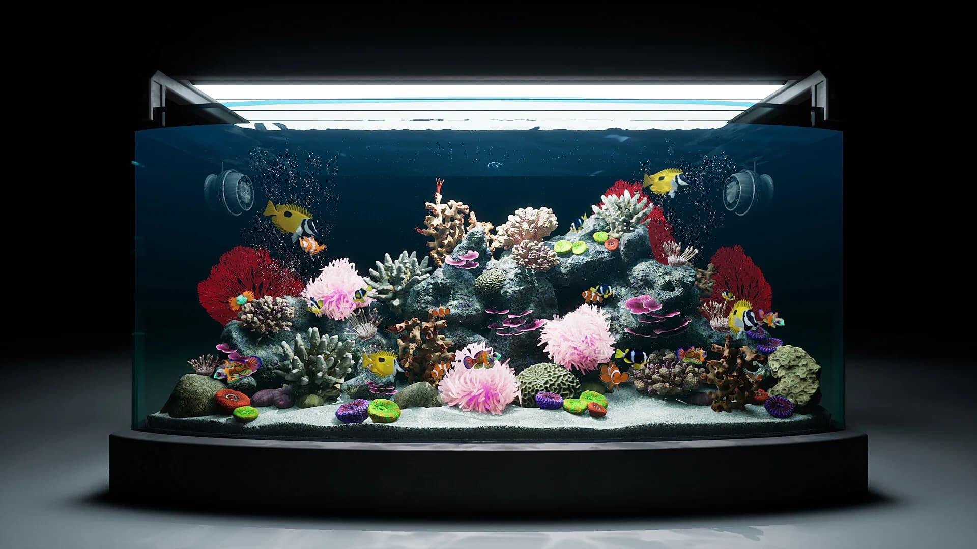 Sea Aquarium Screensaver görsel 3