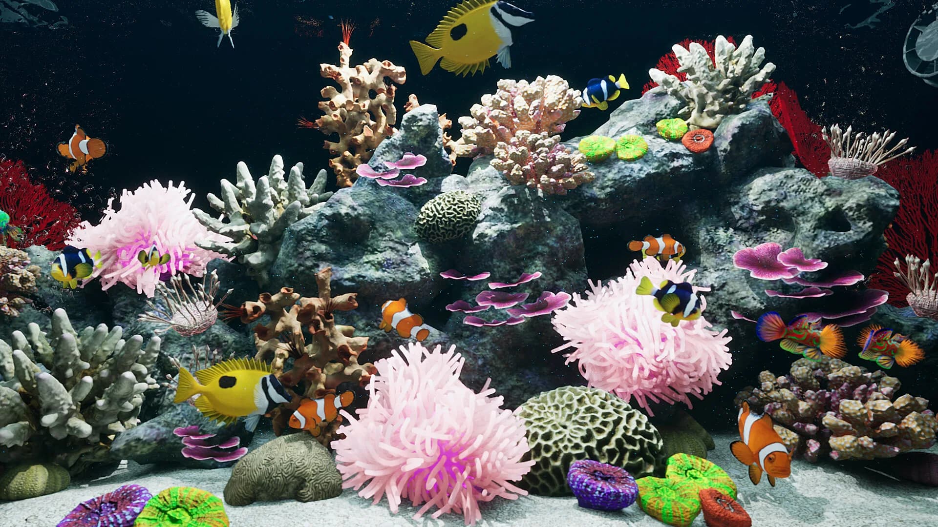 Sea Aquarium Screensaver görsel 4