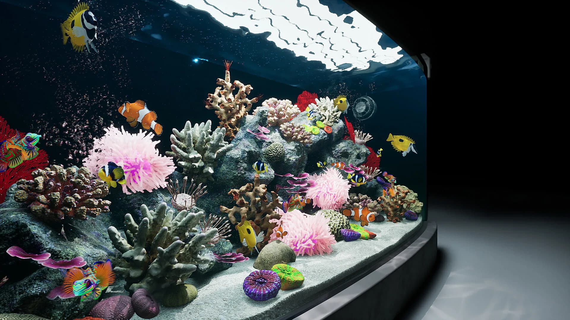Sea Aquarium Screensaver görsel 5