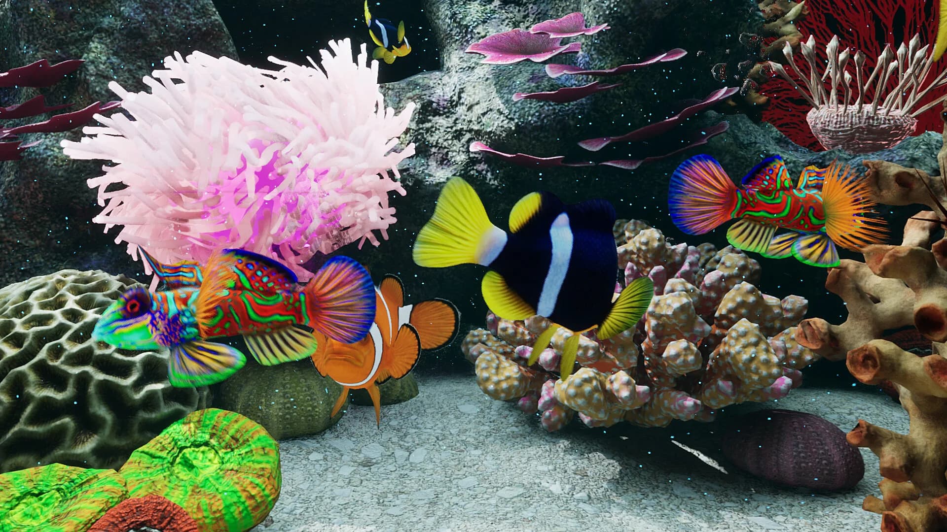Sea Aquarium Screensaver görsel 6