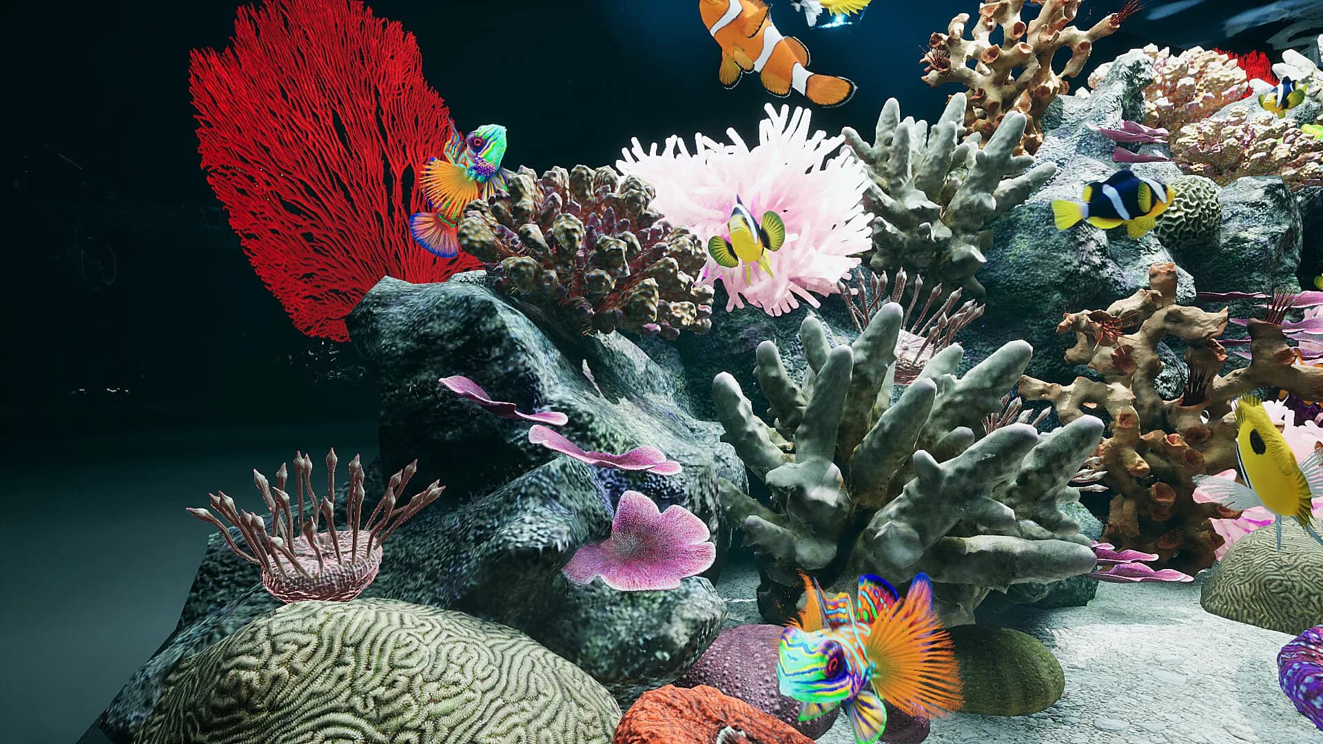 Sea Aquarium Screensaver görsel 7