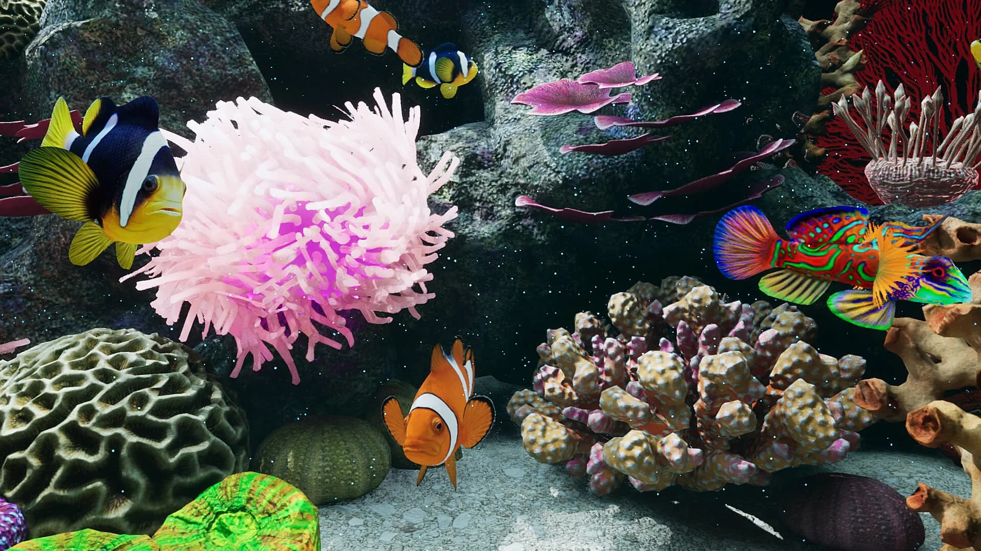 Sea Aquarium Screensaver görsel 8