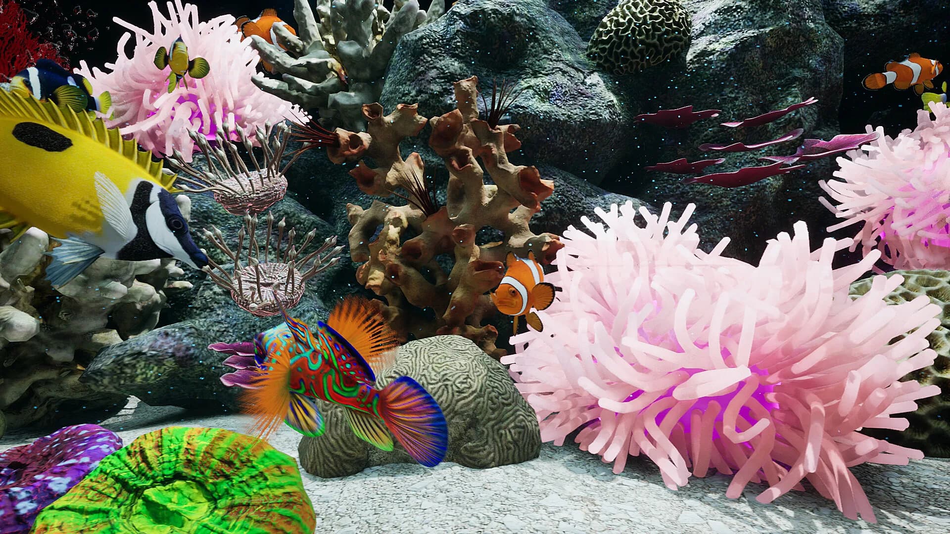 Sea Aquarium Screensaver görsel 9