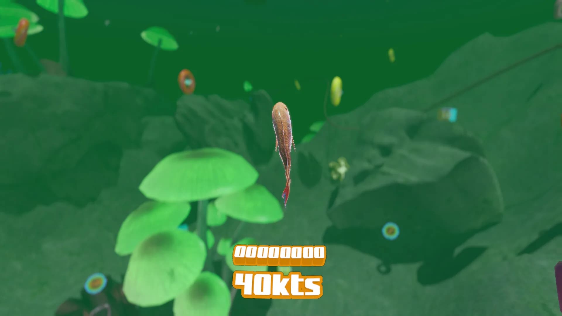 tuna hake's underwater görsel 9