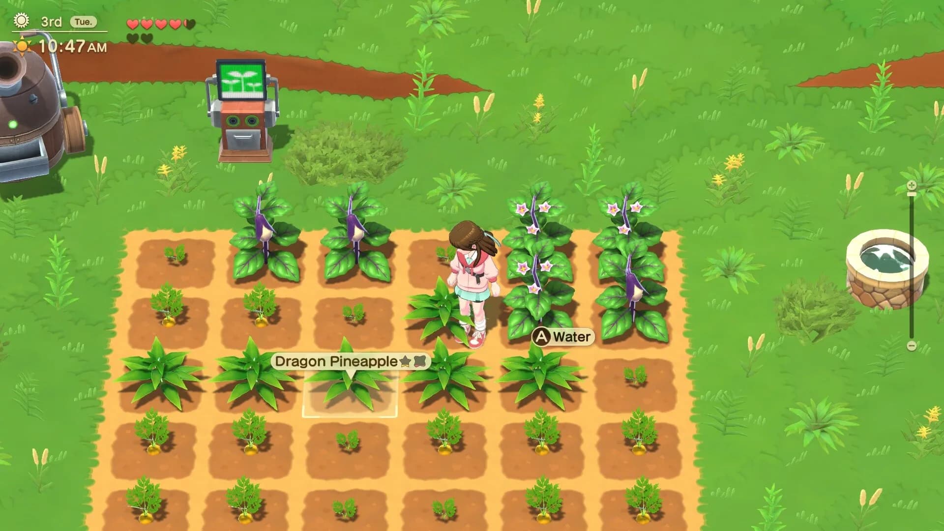 Harvest Moon®: Home Sweet Home Special Edition görsel 2
