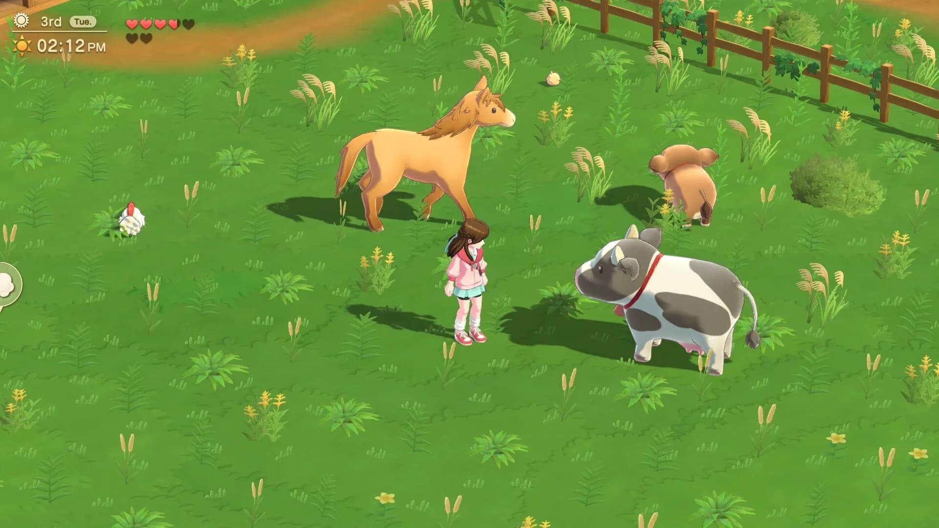 Harvest Moon®: Home Sweet Home Special Edition görsel 4