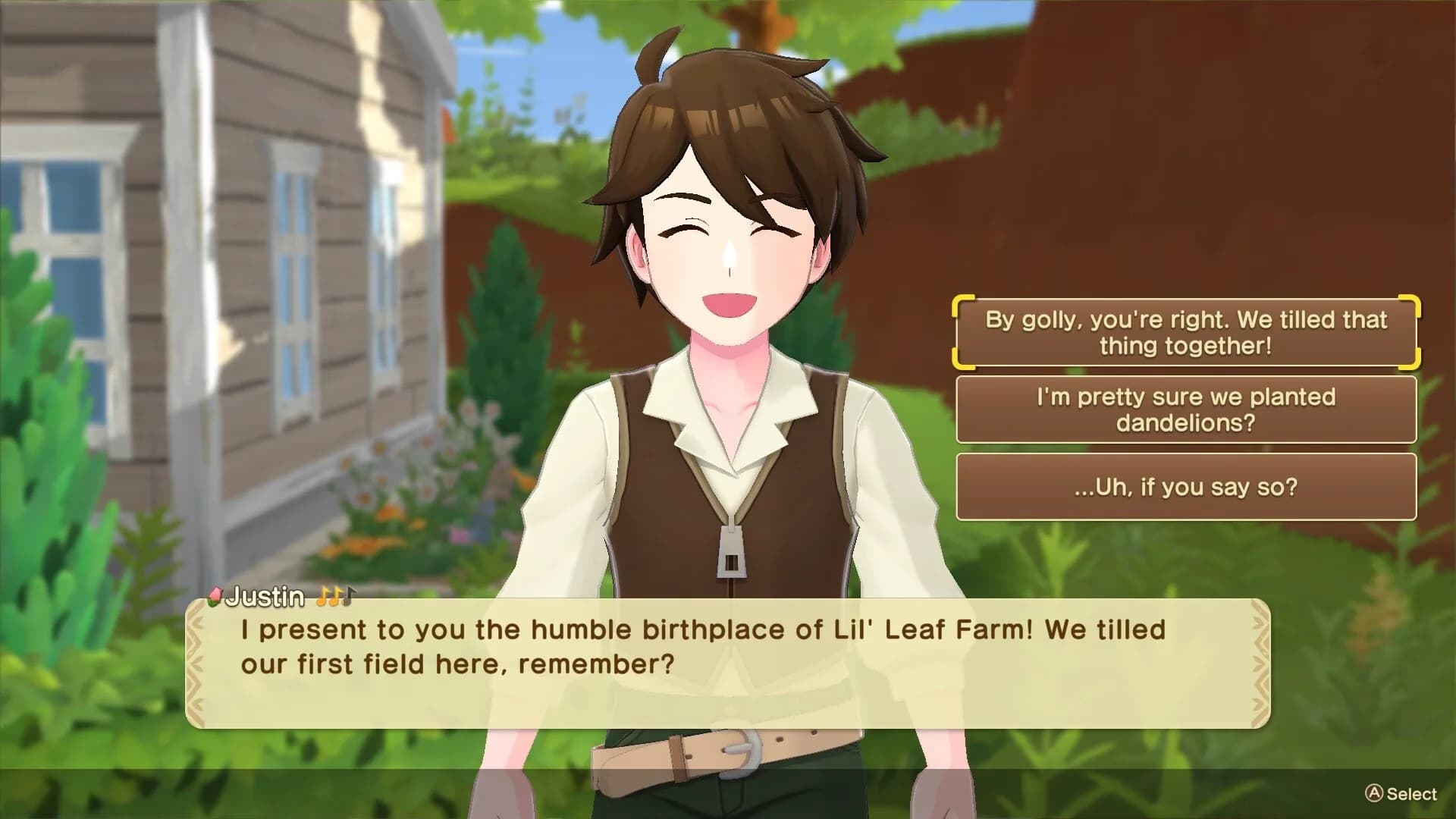 Harvest Moon®: Home Sweet Home Special Edition görsel 7
