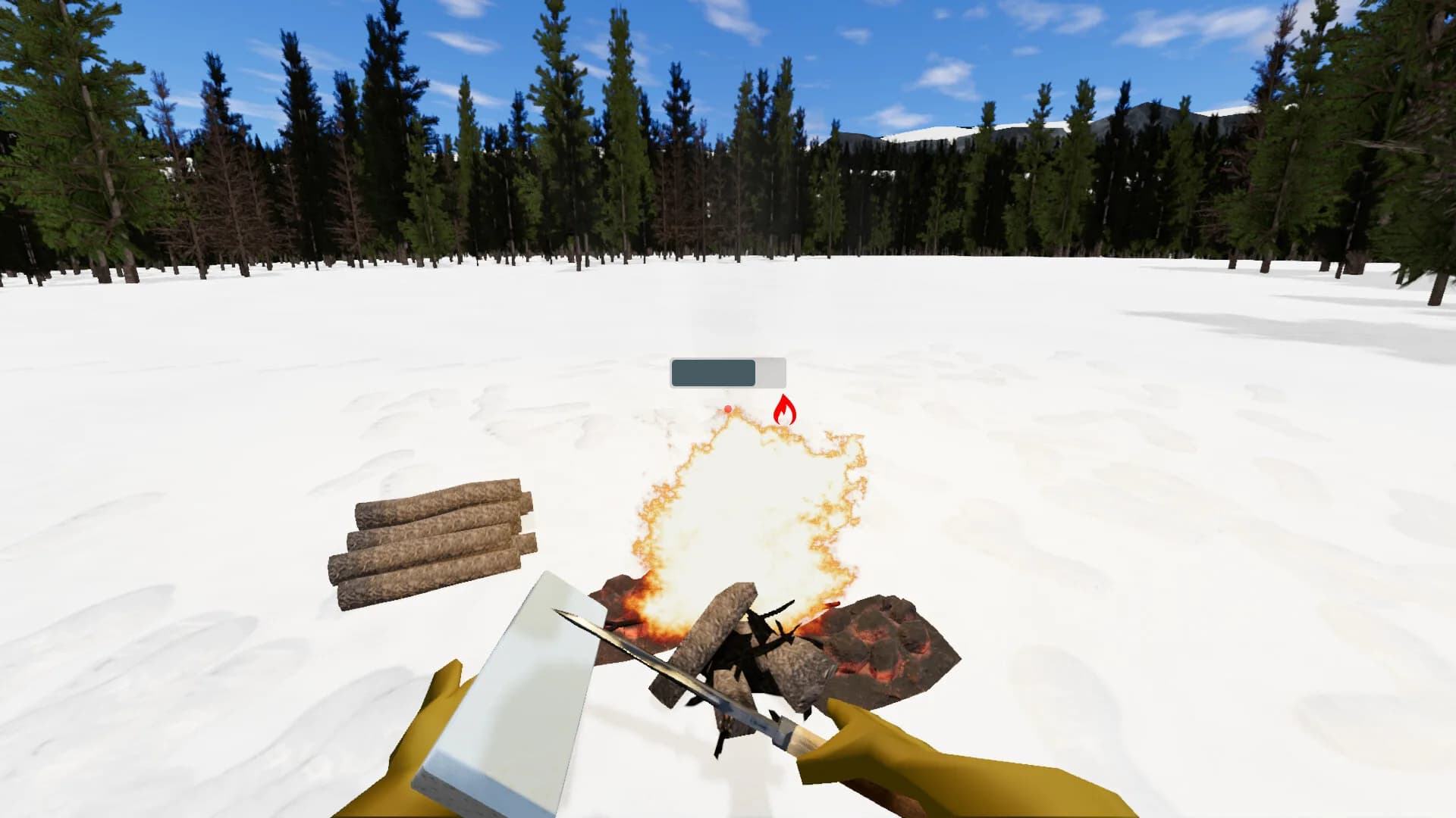 Bushcraft Survival görsel 6