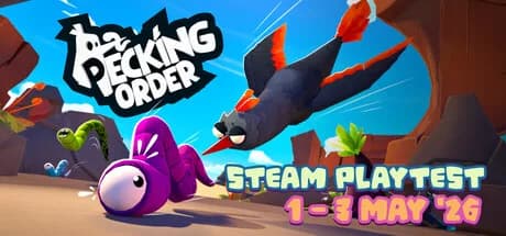Pecking Order